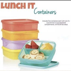 Tupperware lunch it containers (5)
